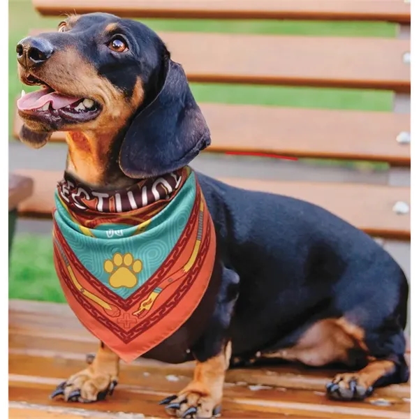 100% peachskin polyester triangular bandannas with digital printing; offered in three... from ASI 44020 Bandanna Promotions By CARO-LINE / Swag-Wag Pets