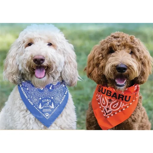 22'' x 22'' x 29" solid cotton triangular bandana.... from ASI 44020 Bandanna Promotions By CARO-LINE / Swag-Wag Pets