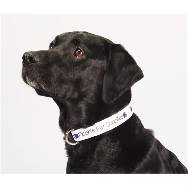 20"L x 1"W adjustable pet collar... from ASI 66887 PCNA / Bullet