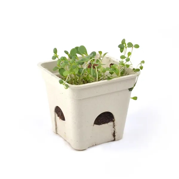 Mini planting kit, cardstock wrap with plantable medallion.... from ASI 40646 Bloomin Promotions / Bloomin' Promotions™