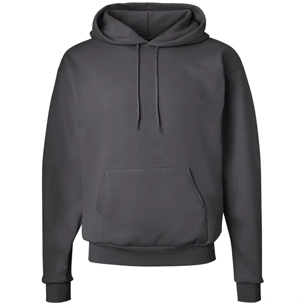 Hanes Ecosmart Hooded Sweatshirt... from ASI 30208 A P Specialties / AP Specialties