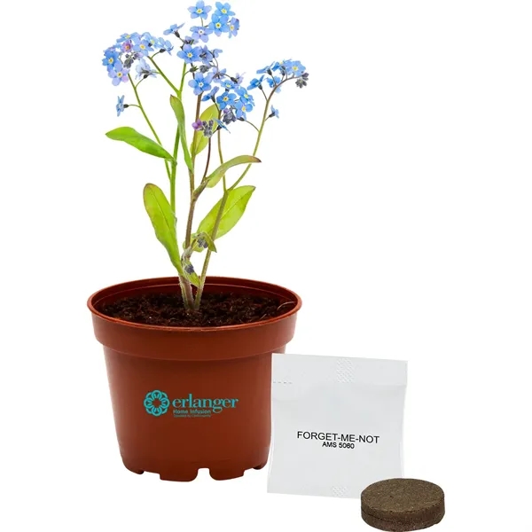 Terra Cotta planter kit featuring seeds, a soil disk and instructions.... from ASI 54100 Fields Manufacturing Inc / Fields