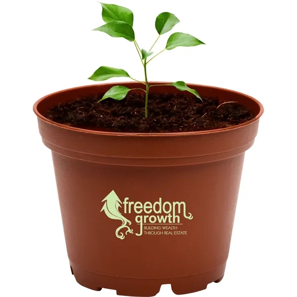 Terra Cotta planter kit featuring a polypropylene planter with seeds, soil... from ASI 54100 Fields Manufacturing Inc / Fields