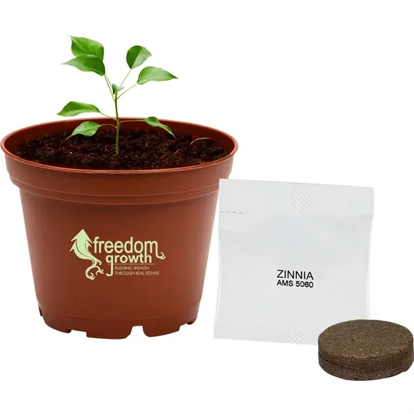 Terra Cotta planter kit featuring a polypropylene planter with seeds, soil... from ASI 54100 Fields Manufacturing Inc / Fields