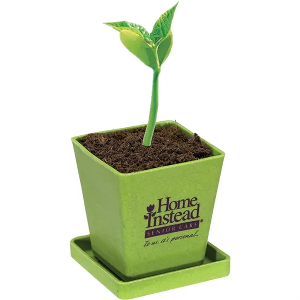 Mini bamboo planter kit including a top that becomes a saucer,... from ASI 54100 Fields Manufacturing Inc / Sprout Tyme Line by American Greenwood
