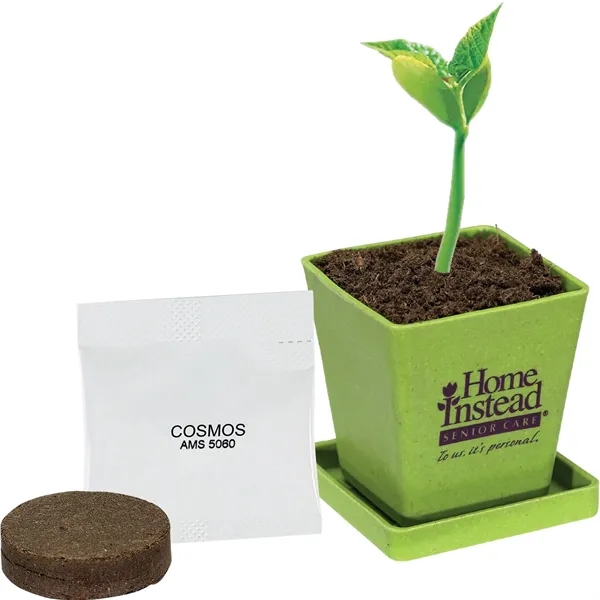 Mini bamboo planter kit including a top that becomes a saucer,... from ASI 54100 Fields Manufacturing Inc / Sprout Tyme Line by American Greenwood