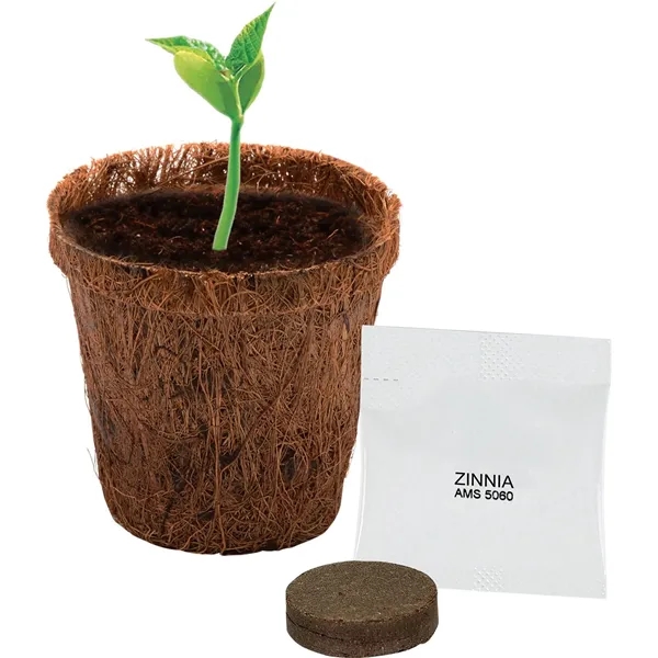 Coco planter kit featuring a coir planter, seeds, soil disk and... from ASI 54100 Fields Manufacturing Inc / Fields