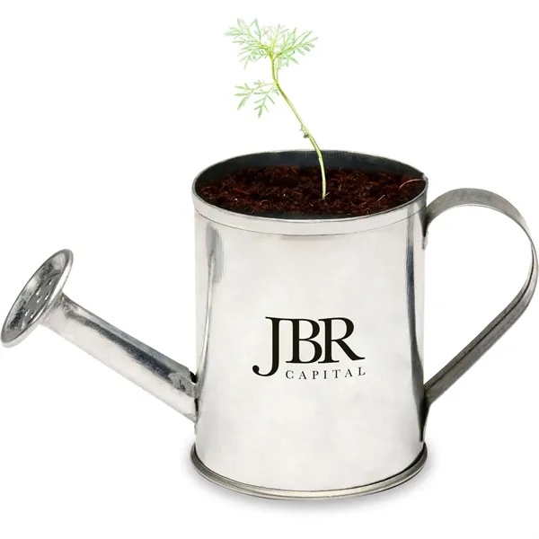 Watering can planter kit featuring a soil disk, seeds, and instructions.... from ASI 54100 Fields Manufacturing Inc / Sprout Tyme Line by American Greenwood