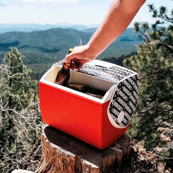 This iconic design is engineered for superior durability, performance, and ultimate... from ASI 87188 Showdown Displays