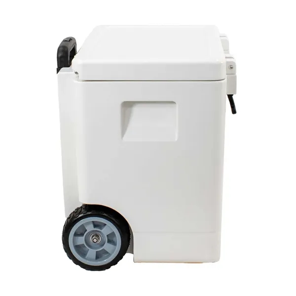 Make a quick getaway for any event with this perfectly sized... from ASI 87188 Showdown Displays