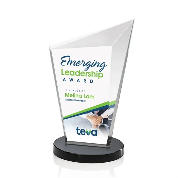 Wiltshire VividPrint™ Award - Black... from ASI 84592 St Regis Group / St Regis