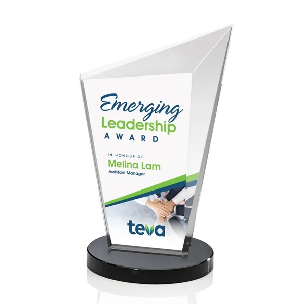 Wiltshire VividPrint™ Award - Black... from ASI 84592 St Regis Group / St Regis