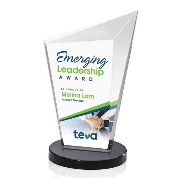 Wiltshire VividPrint™ Award - Black... from ASI 84592 St Regis Group / St Regis