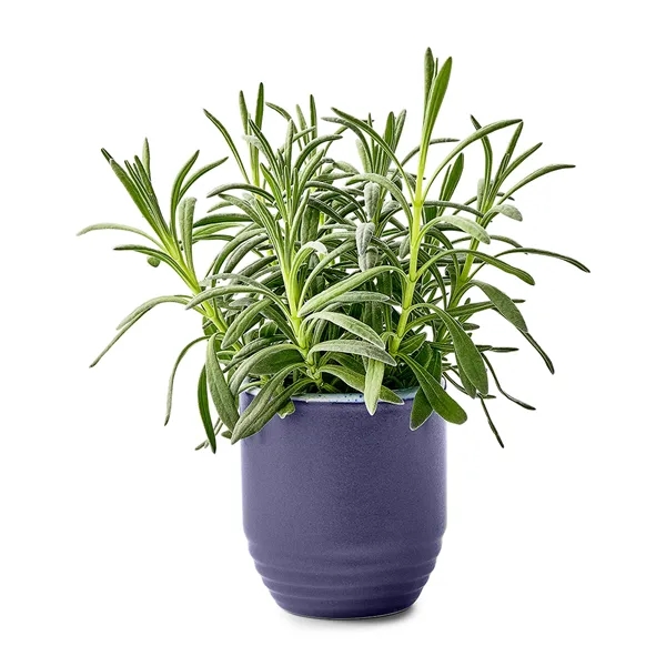 6 oz. soy candle that turns into a planter; seed packet... from ASI 56070 Gemline / Gemline®