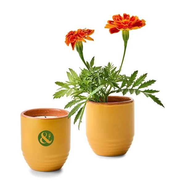 6 oz. soy candle that turns into a planter; seed packet... from ASI 56070 Gemline / Gemline®