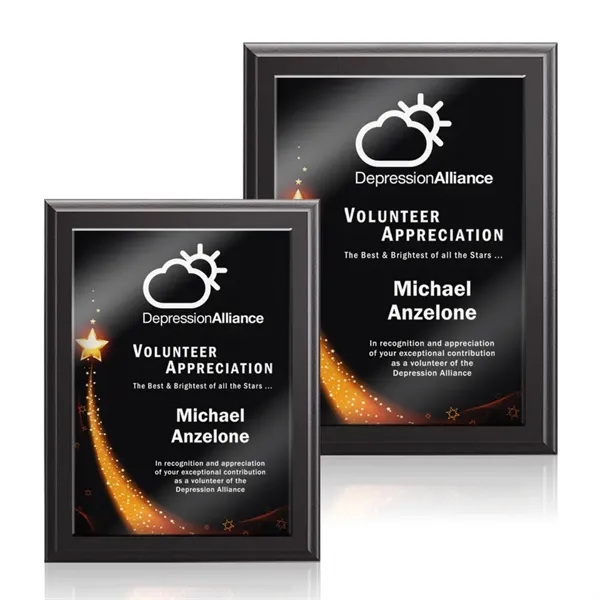 Farnsworth/Benton Plaque - Black Finish... from ASI 84592 St Regis Group / St Regis