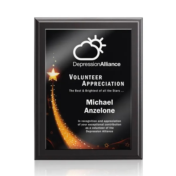 Farnsworth/Benton Plaque - Black Finish... from ASI 84592 St Regis Group / St Regis