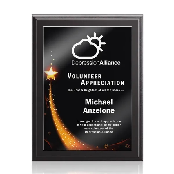 Farnsworth/Benton Plaque - Black Finish... from ASI 84592 St Regis Group / St Regis