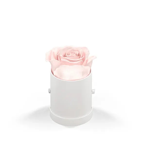 Singular rose in a round hat box.... from ASI 61125 Hit Promotional Products / Hit®