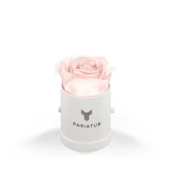 Singular rose in a round hat box.... from ASI 61125 Hit Promotional Products / Hit®