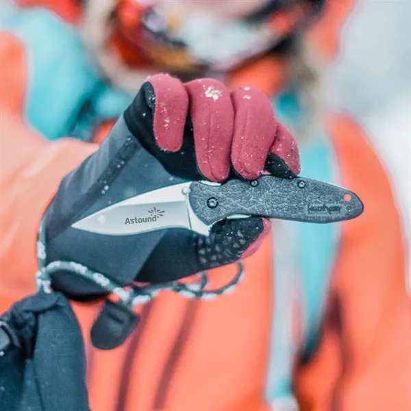 Stainless steel knife with 2 1/4" blade and assisted opening system... from ASI 46170 Compass Industries Inc