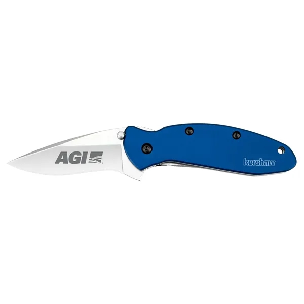 Stainless steel knife with 2 1/4" blade and assisted opening system... from ASI 46170 Compass Industries Inc