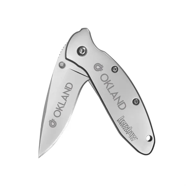 Stainless steel knife with 2 1/4" blade and assisted opening system... from ASI 46170 Compass Industries Inc