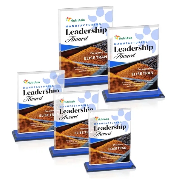 The Vitalia VividPrint™ Award is framed by beveled edges and mounted... from ASI 84592 St Regis Group / St Regis