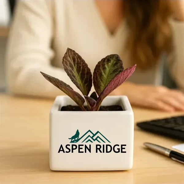 Modern square ceramic planter with seasonal live plants and custom full-color... from ASI 72657 Active Life Promo / Apres Ski