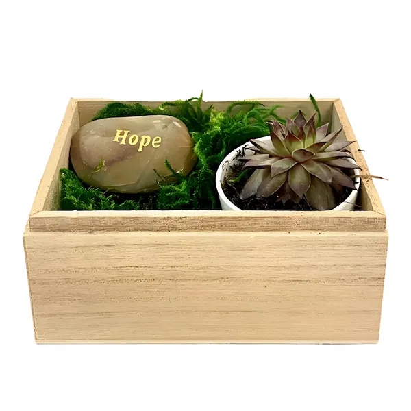 Hope Succulent Gift Box... from ASI 58295 Groline