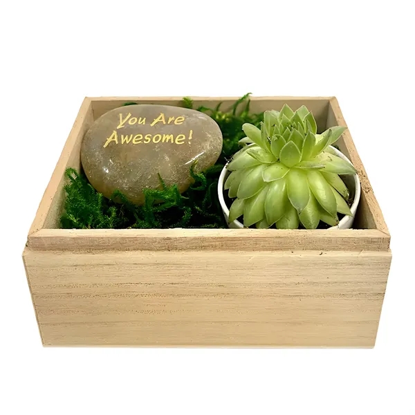You are Awesome Succulent Gift Box... from ASI 58295 Groline