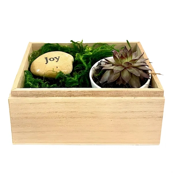 Joy Succulent Gift Box... from ASI 58295 Groline