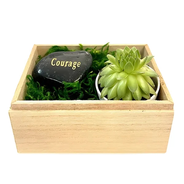 Courage Succulent Gift Box... from ASI 58295 Groline