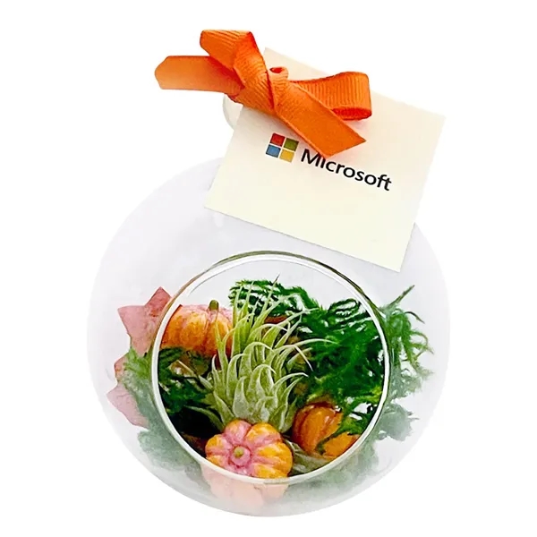 Pumpkin Air Plant Terrarium Kit... from ASI 58295 Groline