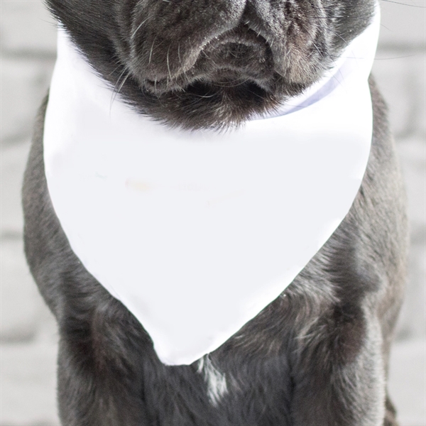 Dog bandana.... from ASI 73010 Natico Originals Inc