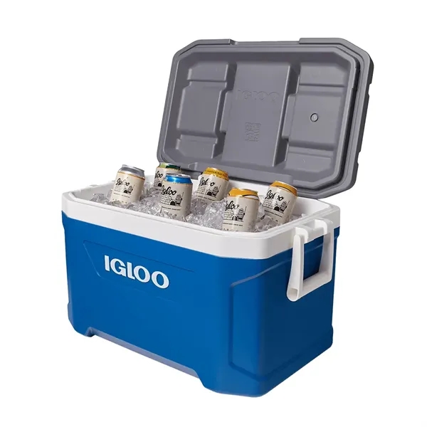 For ice-cold refreshments always at the ready, you need our very... from ASI 61005 Hirsch Gift Inc