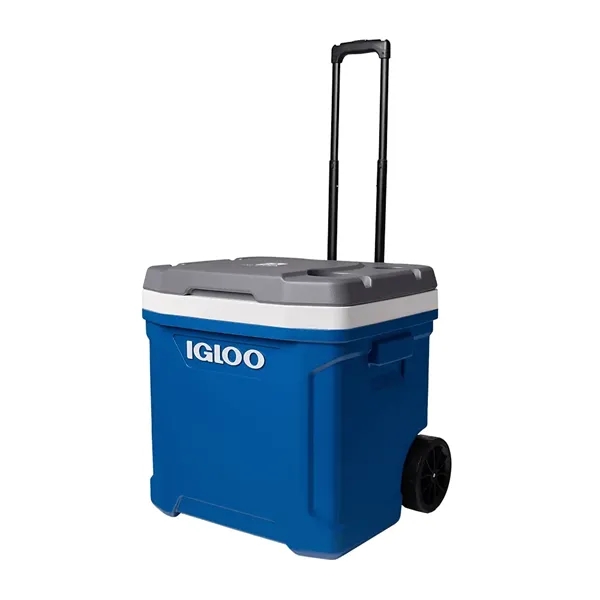 For ice-cold refreshments always at the ready, you need our very... from ASI 61005 Hirsch Gift Inc