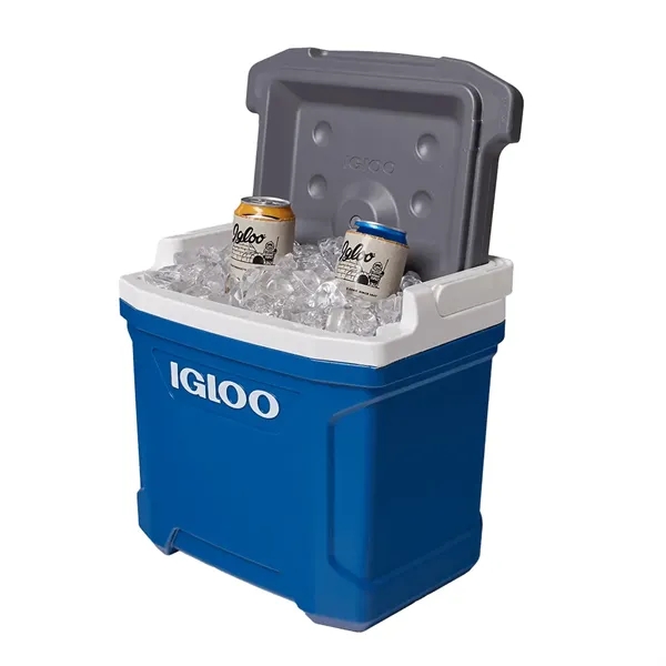 For ice-cold refreshments always at the ready, you need our tried-and-true... from ASI 61005 Hirsch Gift Inc