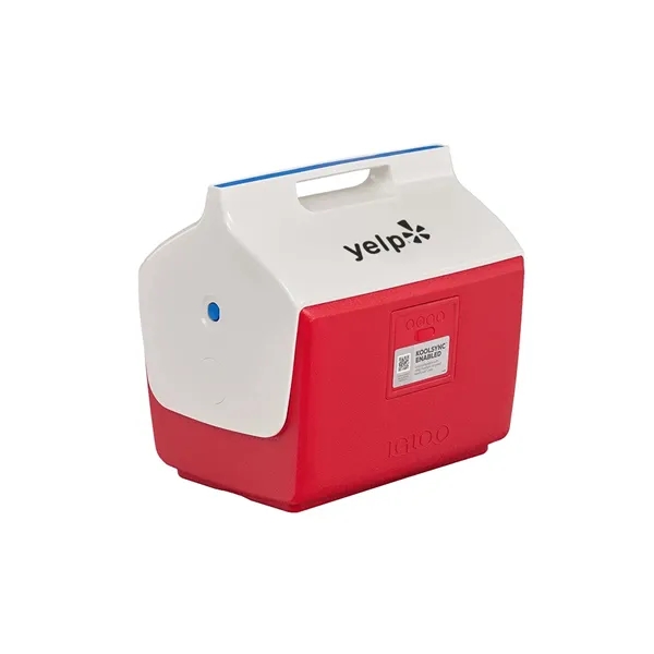 It's a cooler. It's a boombox. It's a blast from the... from ASI 61005 Hirsch Gift Inc