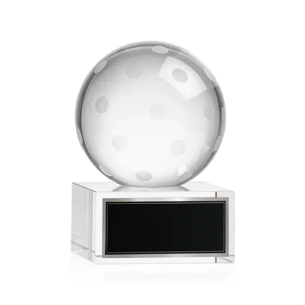 Our Pickleball Award is a tribute to the athleticism and dedication... from ASI 84592 St Regis Group / St Regis