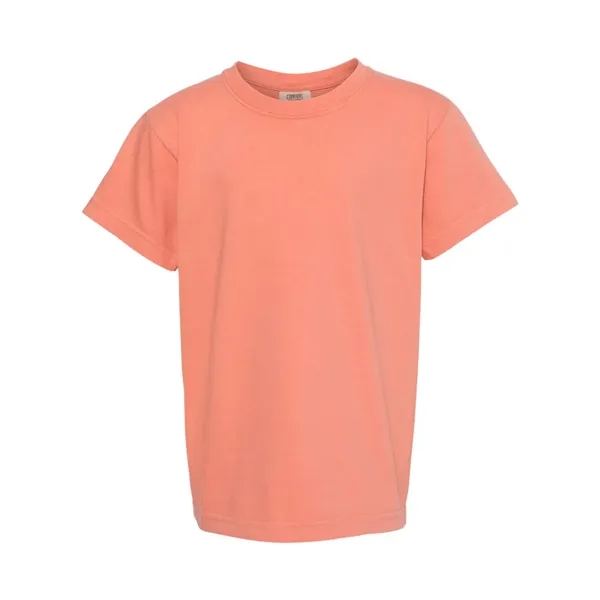 Youth pigment dyed ringspun t-shirt. Blank product.... from ASI 84358 S&S Activewear