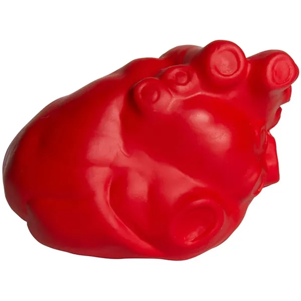4" x 2.5" anatomic heart shaped stress reliever.... from ASI 34415 Alpi International LTD