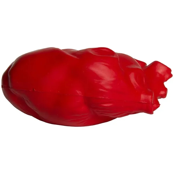 4" x 2.5" anatomic heart shaped stress reliever.... from ASI 34415 Alpi International LTD