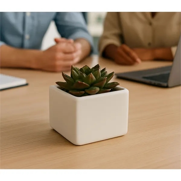 Live succulent in a 4" matte white ceramic pot with full-color... from ASI 72657 Active Life Promo / Ingrain