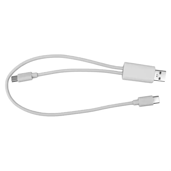 Dual Input A + C to C Accent Cable... from ASI 30208 A P Specialties / AP Specialties