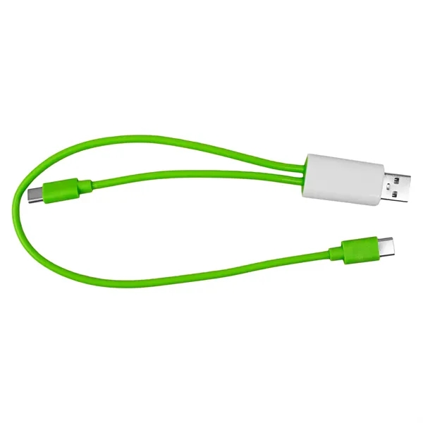 Dual Input A + C to C Accent Cable... from ASI 30208 A P Specialties / AP Specialties