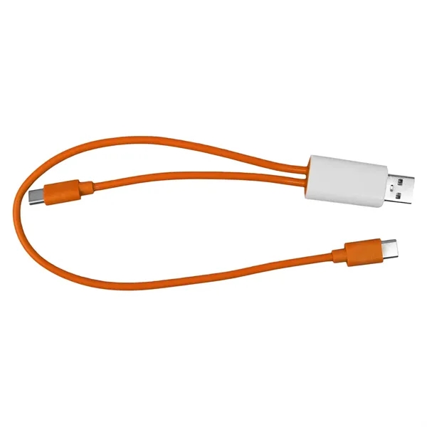 Dual Input A + C to C Accent Cable... from ASI 30208 A P Specialties / AP Specialties