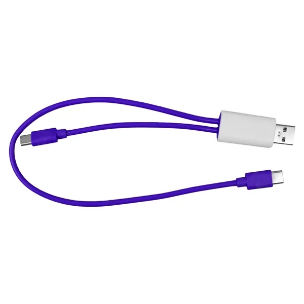 Dual Input A + C to C Accent Cable... from ASI 30208 A P Specialties / AP Specialties