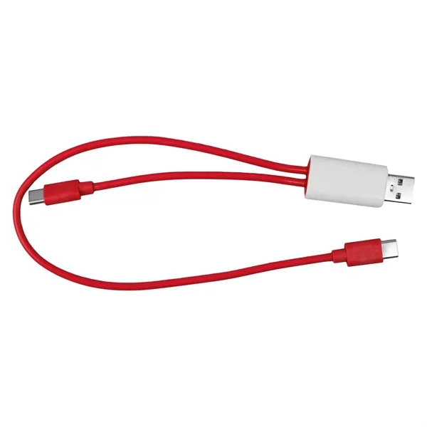 Dual Input A + C to C Accent Cable... from ASI 30208 A P Specialties / AP Specialties