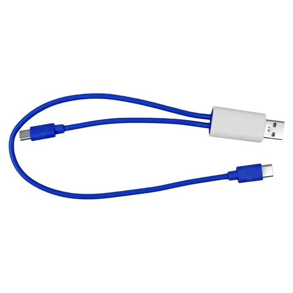 Dual Input A + C to C Accent Cable... from ASI 30208 A P Specialties / AP Specialties